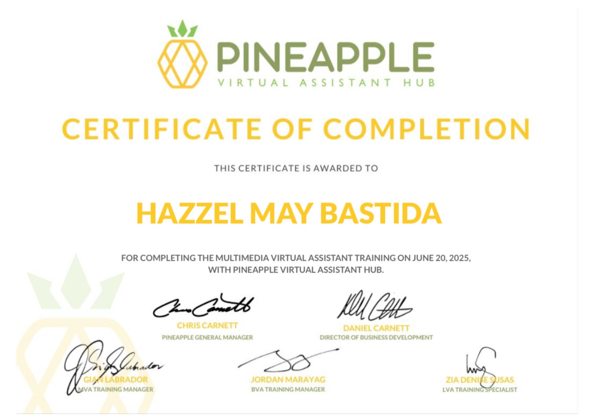 Multimedia Specialist certificate