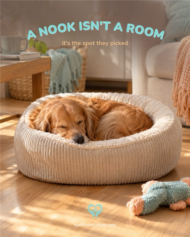 NookiPets: What counts as a nook